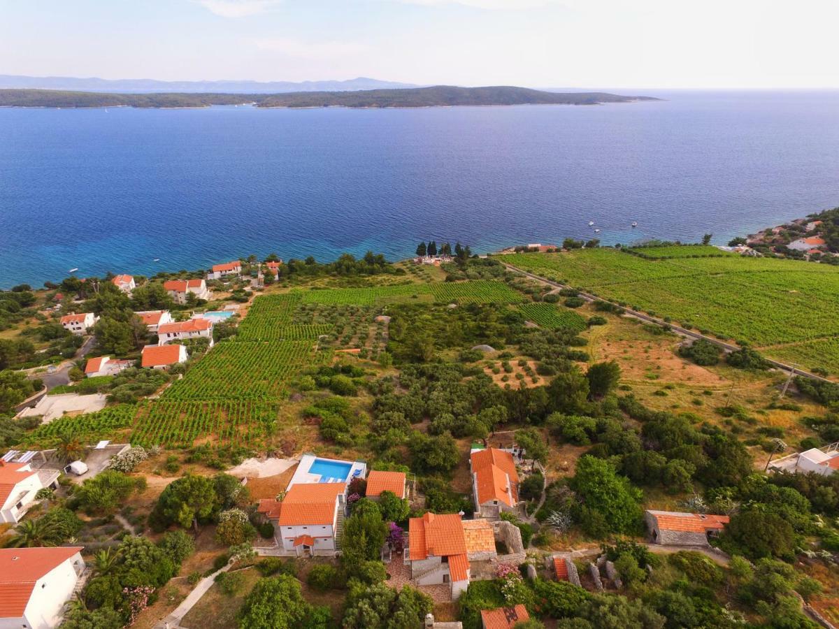 Anabela Villa